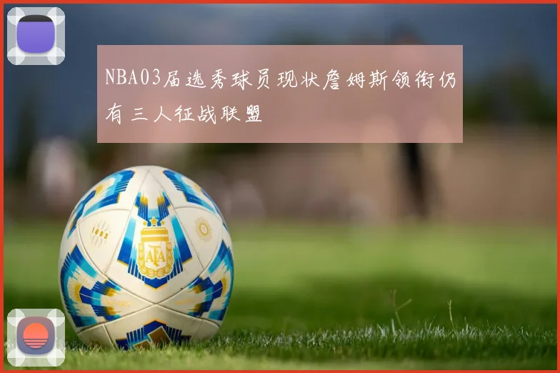 NBA03届选秀球员现状詹姆斯领衔仍有三人征战联盟