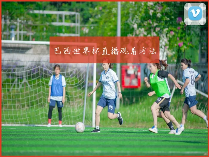 巴西世界杯直播观看方法